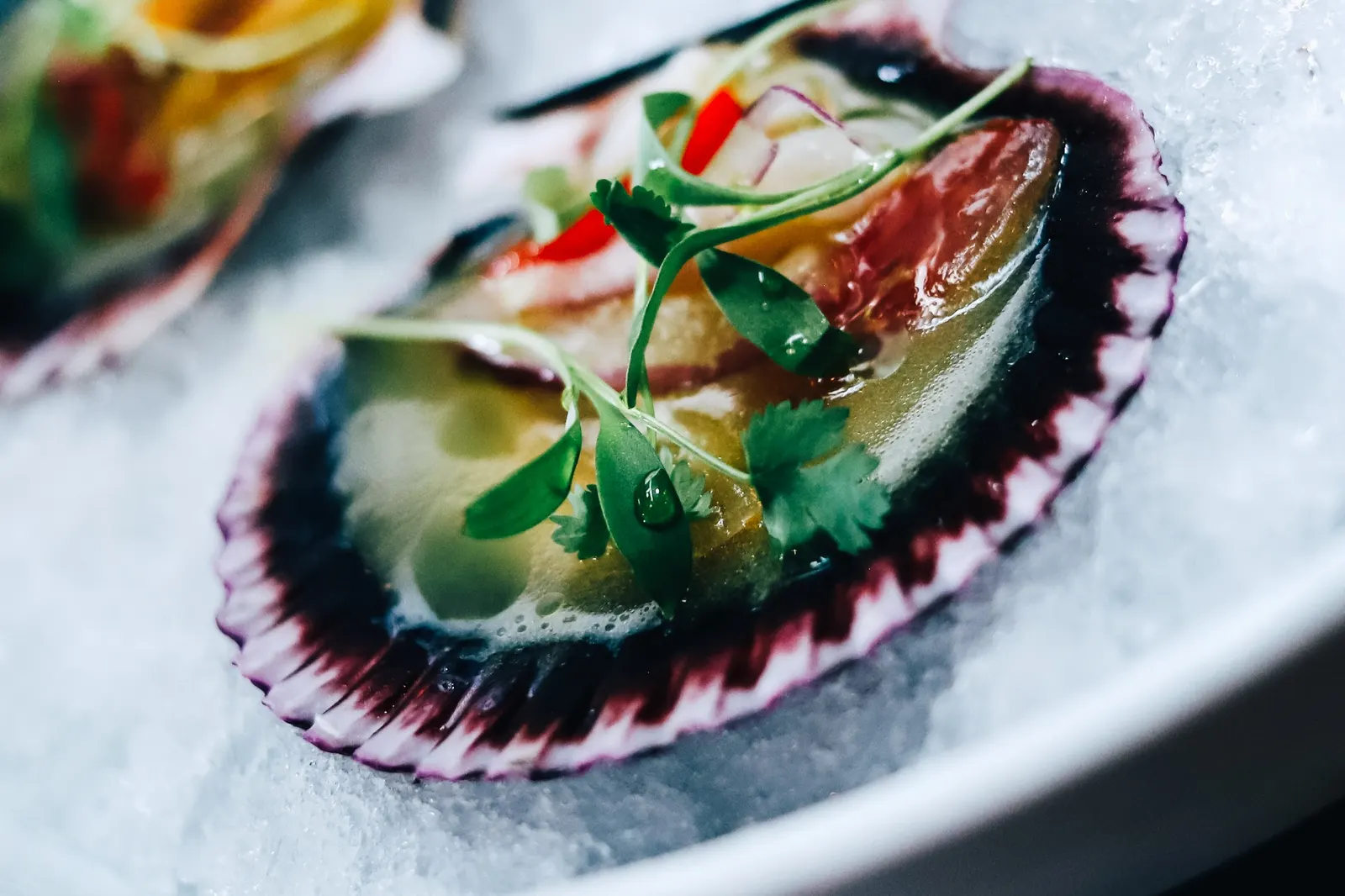 Seafood on a scallop shell over ice